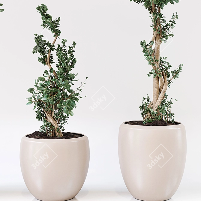Premium Indoor Plant Decor 3D model image 3