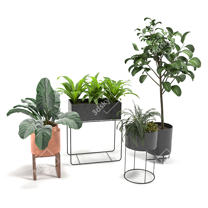 5 Plant Variety Pack Vases 3D model image 2