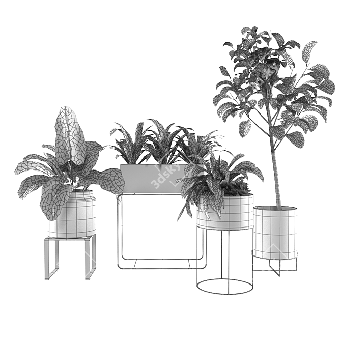 5 Plant Variety Pack Vases 3D model image 4