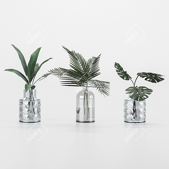 Indoor Plant Collection for any Space 3D model image 1