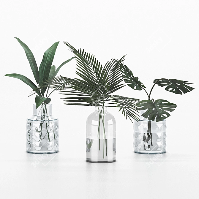 Indoor Plant Collection for any Space 3D model image 4