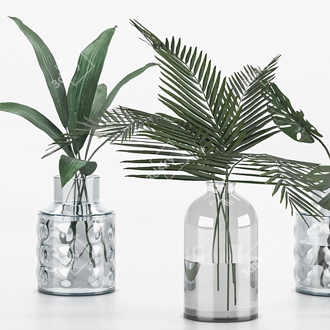 Indoor Plant Collection for any Space 3D model image 8