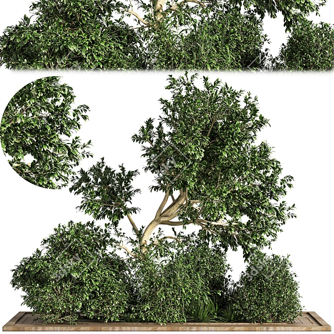 Versatile Garden Set: Bush and Tree Collection 3D model image 1