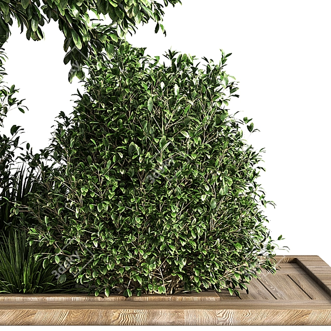 Versatile Garden Set: Bush and Tree Collection 3D model image 3