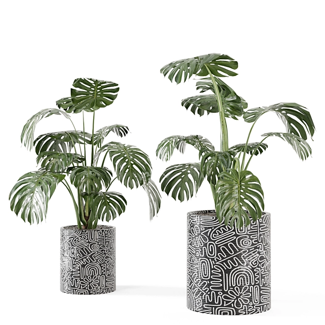 Lush Indoor Plant Collection 3D model image 1