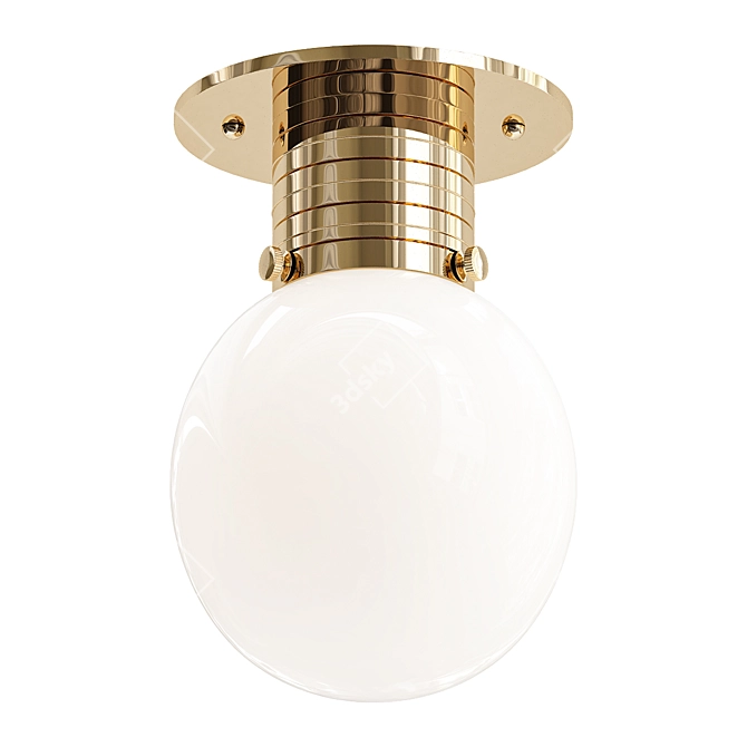 Sleek Flush Mount Globe Light 3D model image 1