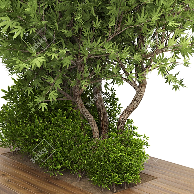 Garden Wood Pot Plant Collection 3D model image 3