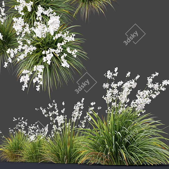 Graceful Libertia Formosa: Versatile 3D Floral Set 3D model image 2