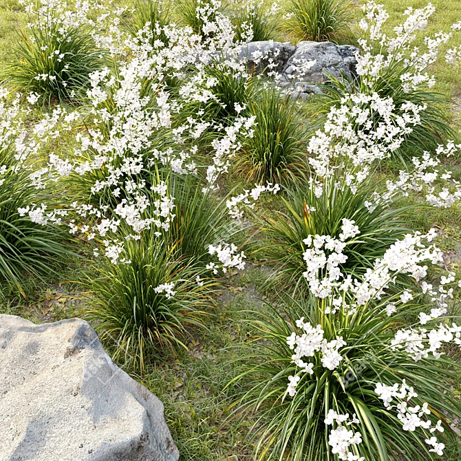 Graceful Libertia Formosa: Versatile 3D Floral Set 3D model image 3