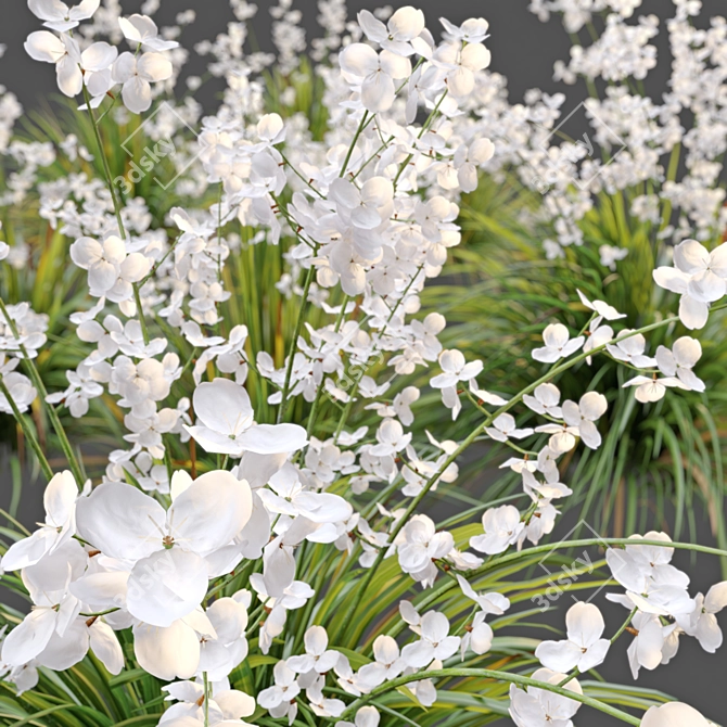 Graceful Libertia Formosa: Versatile 3D Floral Set 3D model image 4