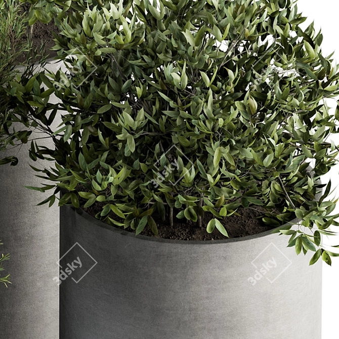 Green Oasis: Indoor Plant Set 3D model image 3