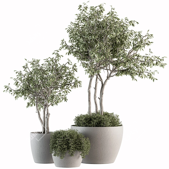 182-Piece Outdoor Plant Set: Tree in Pot 3D model image 1