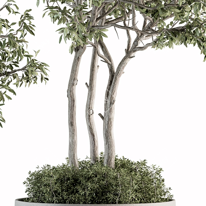 182-Piece Outdoor Plant Set: Tree in Pot 3D model image 3
