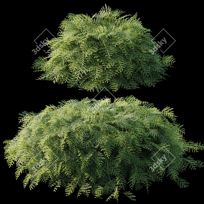 Elegant Juniper Tree Decoration 3D model image 2