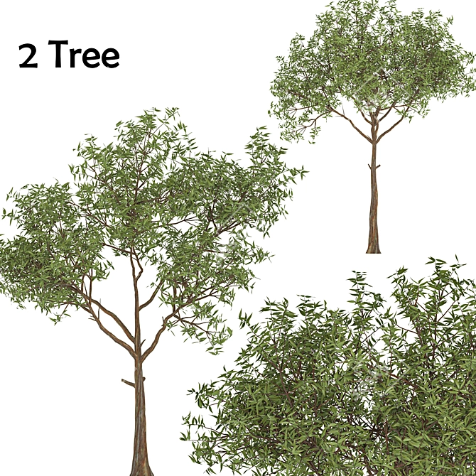 Deluxe Tree Set: 210cm & 270cm 3D model image 1
