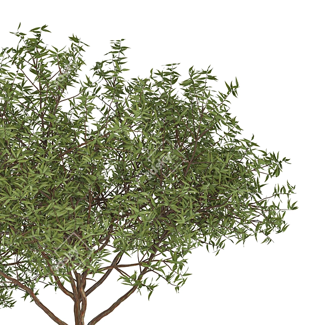 Deluxe Tree Set: 210cm & 270cm 3D model image 3