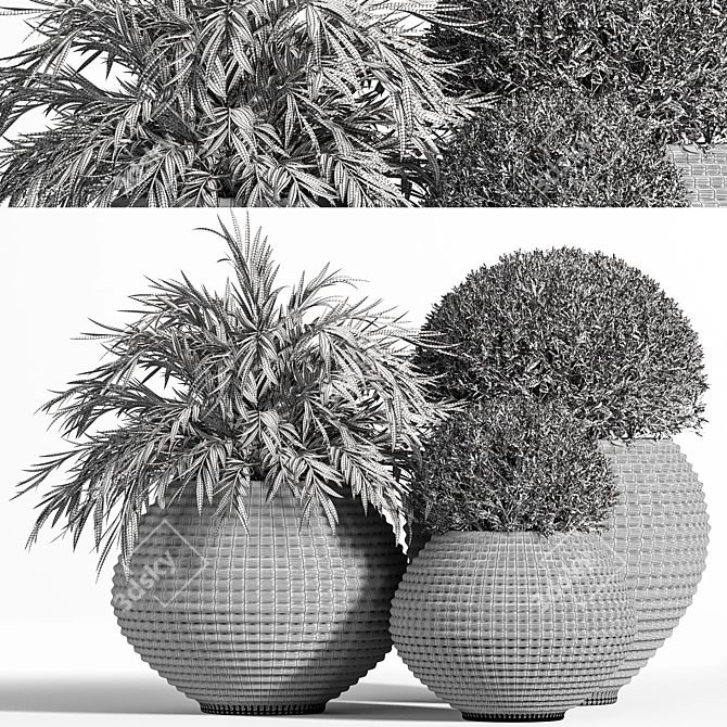 Premium Outdoor Plants Tree 07 3D model image 4