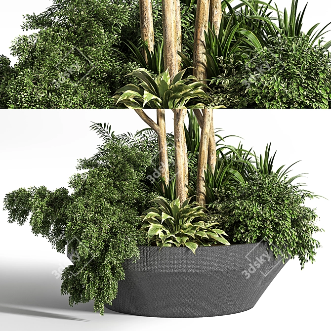 Outdoor Oasis Tree 08 3D model image 2