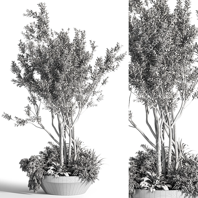 Outdoor Oasis Tree 08 3D model image 5