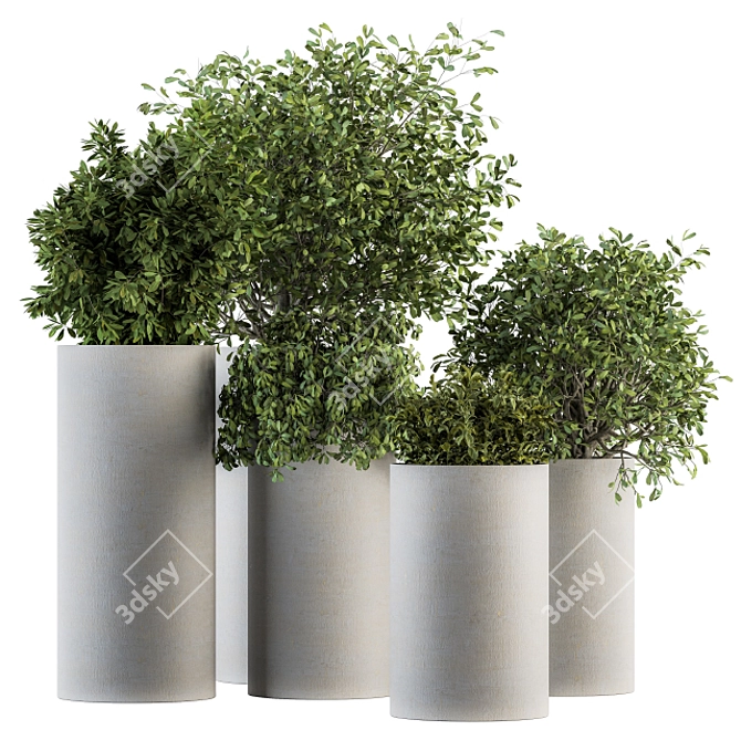 Nature's Touch: Outdoor Plant Set 3D model image 1