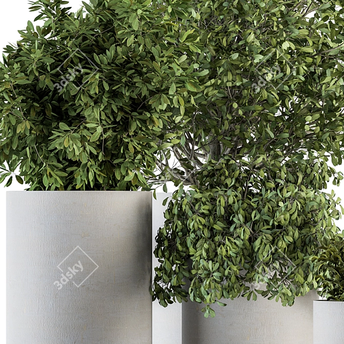 Nature's Touch: Outdoor Plant Set 3D model image 3