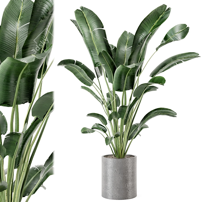 Fresh Greens: Indoor Plants Collection 3D model image 1