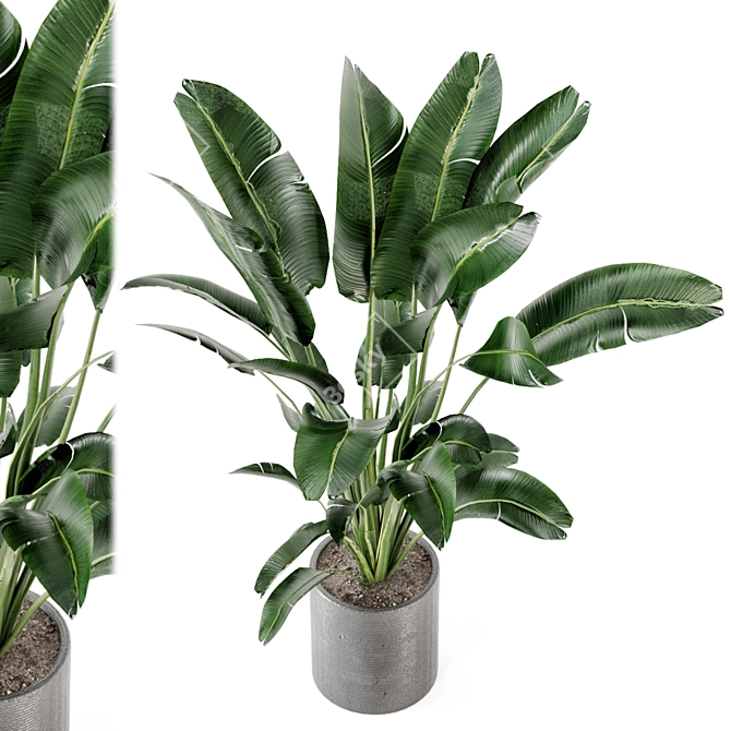 Fresh Greens: Indoor Plants Collection 3D model image 2