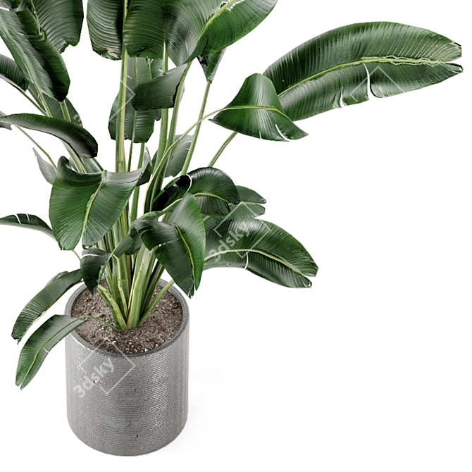 Fresh Greens: Indoor Plants Collection 3D model image 3