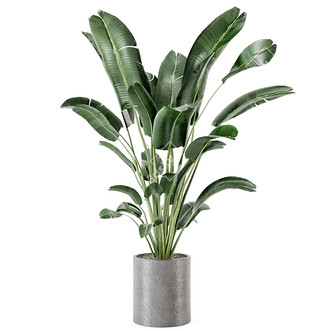 Fresh Greens: Indoor Plants Collection 3D model image 5