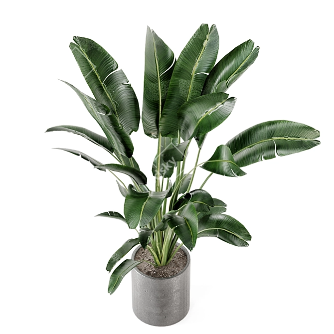 Fresh Greens: Indoor Plants Collection 3D model image 6