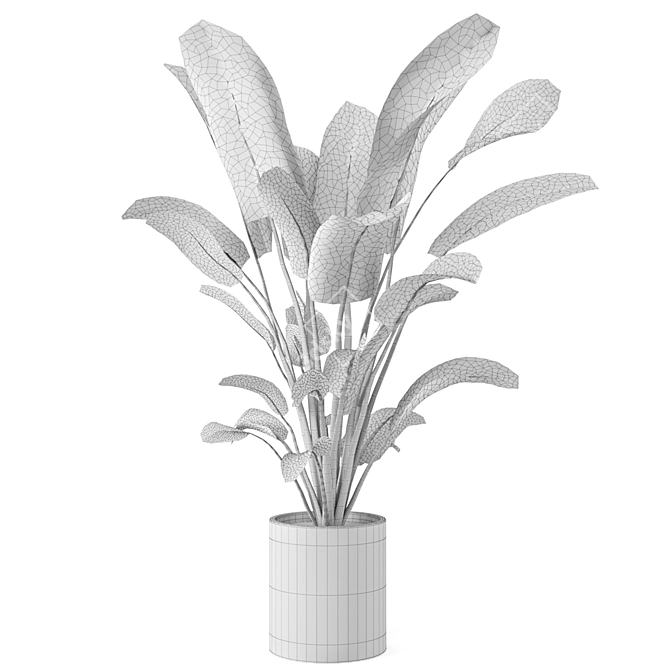 Fresh Greens: Indoor Plants Collection 3D model image 7