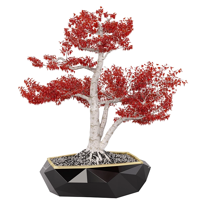 Compact Red Maple Tree 3D model image 4