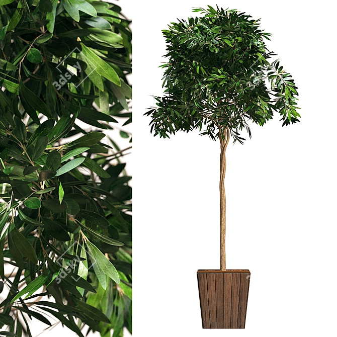 Modern Botanical Bushes Interior Décor 3D model image 1