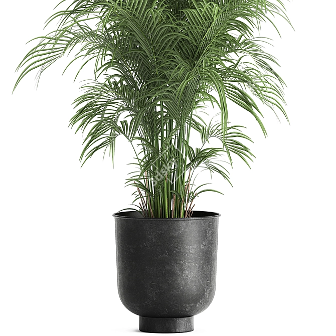 Tropical Plant Collection: Exotic & Decorative in Black Pots 3D model image 2