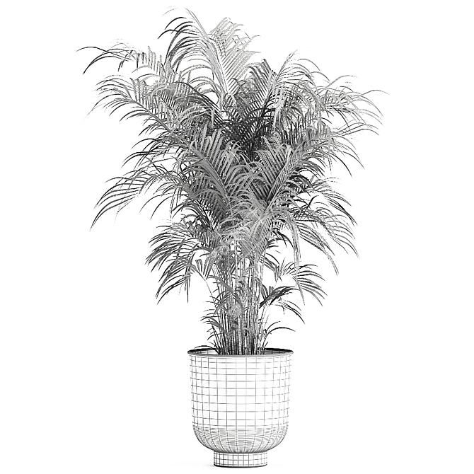 Tropical Plant Collection: Exotic & Decorative in Black Pots 3D model image 6