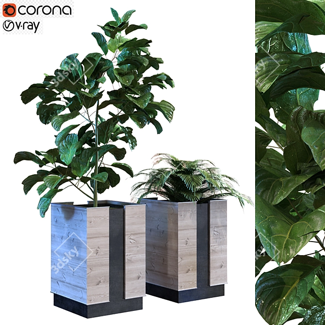 Green Oasis: Boxed Set of 12 Plants 3D model image 1