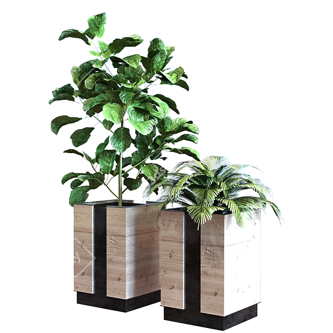 Green Oasis: Boxed Set of 12 Plants 3D model image 3