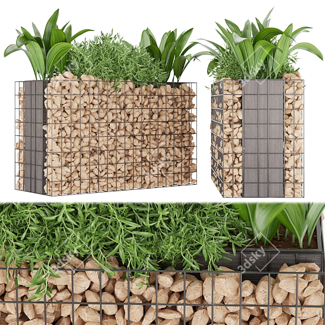 Premium Plant Collection - Vol. 135 3D model image 1