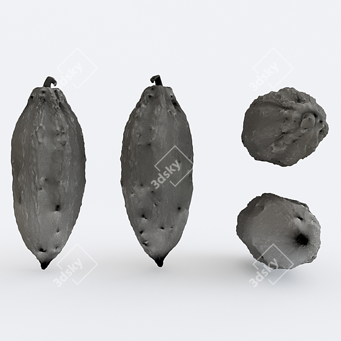 Cocoa v3 Photogrammetry: High-Quality 3D Models 3D model image 2