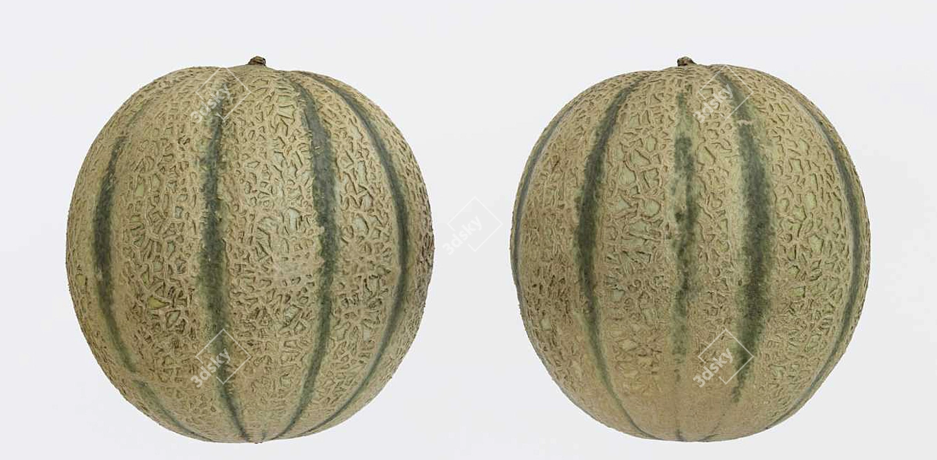 Melon Photogrammetry: High-Quality 3D Model & PBR Textures 3D model image 3