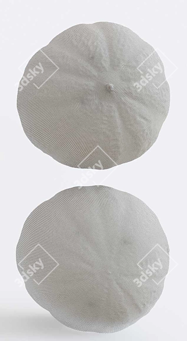 Melon Photogrammetry: High-Quality 3D Model & PBR Textures 3D model image 6