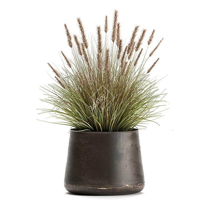 Exotic Plant Collection: Decorative Reeds & Grasses 3D model image 4