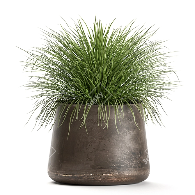 Exotic Plant Collection: Decorative Reeds & Grasses 3D model image 5