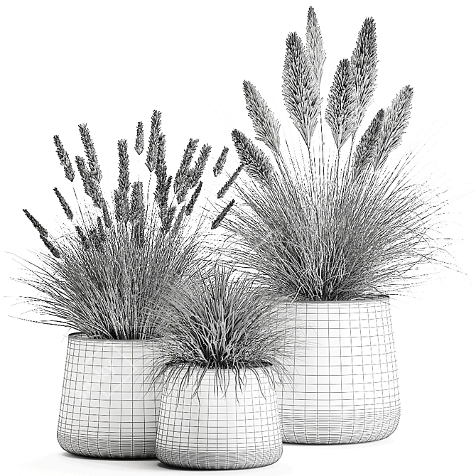 Exotic Plant Collection: Decorative Reeds & Grasses 3D model image 6