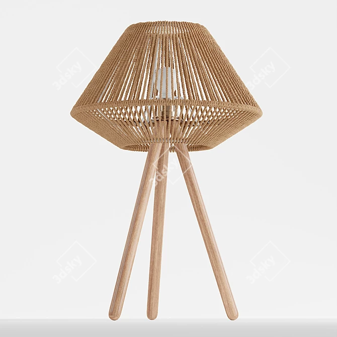 Boho Chic Tripod Table Lamp 3D model image 5