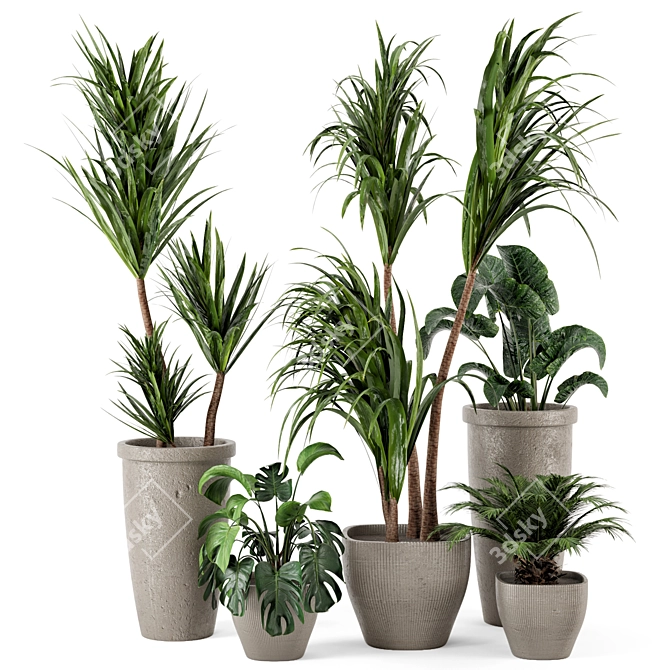 Rustic Concrete Pot with Indoor Plants - Set 97 3D model image 1