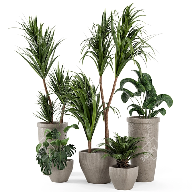 Rustic Concrete Pot with Indoor Plants - Set 97 3D model image 2