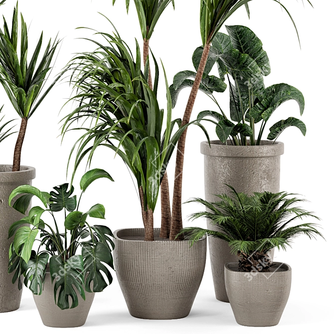 Rustic Concrete Pot with Indoor Plants - Set 97 3D model image 3