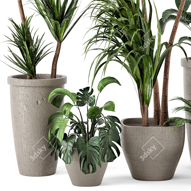 Rustic Concrete Pot with Indoor Plants - Set 97 3D model image 4