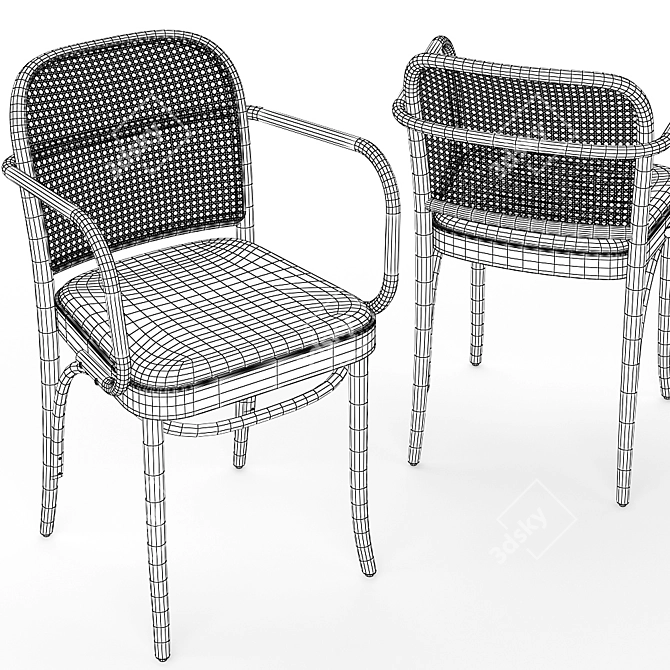 Hoffmann Cane Chair 2: Elegant and Versatile 3D model image 1